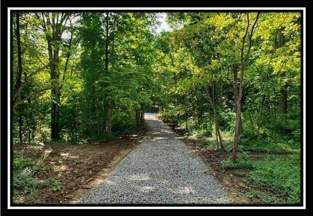 0 Pedigo Ridge Road - Photo 1