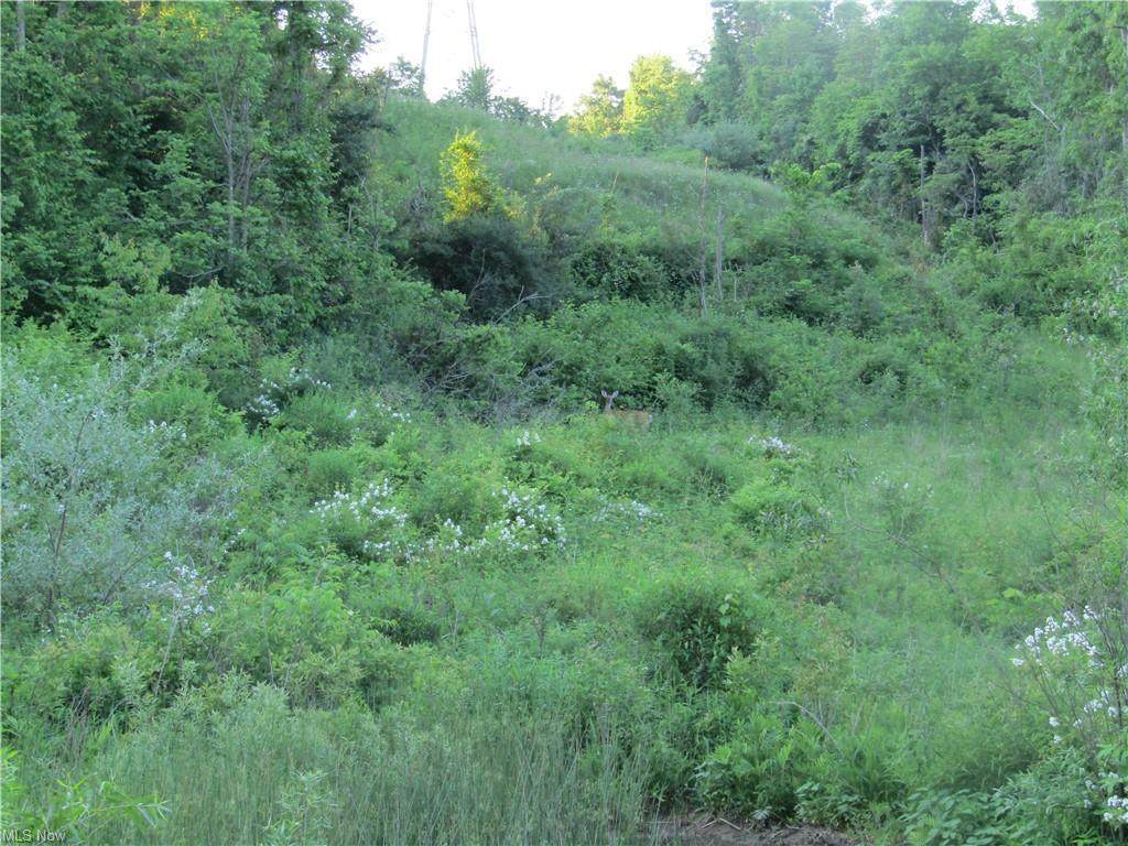 0 County Road 22 - Photo 1