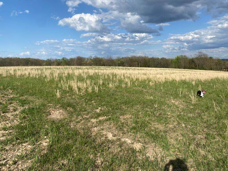 7310 Pleasantview Road - Photo 1