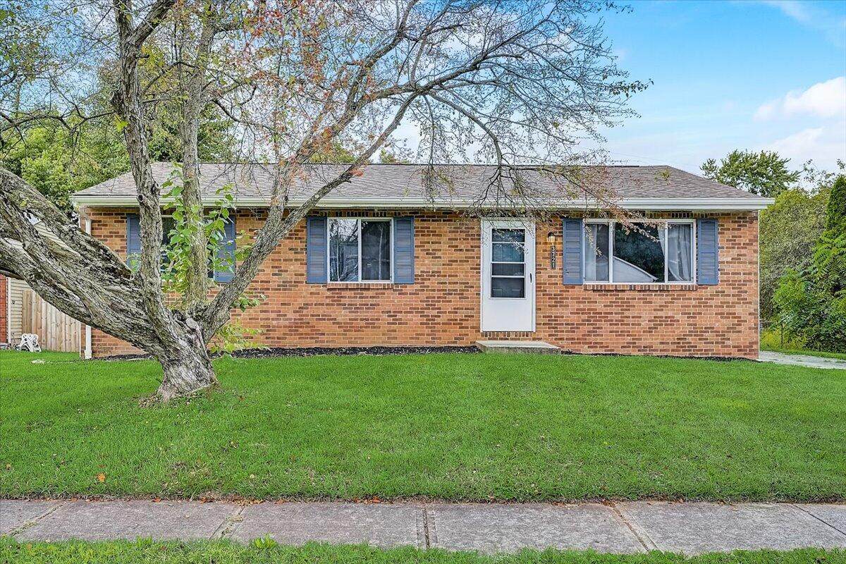 3721 Big Walnut Drive - Photo 1