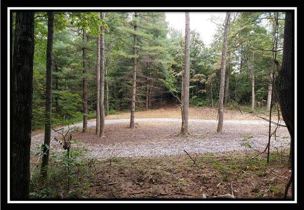 0 Pedigo Ridge Road - Photo 1