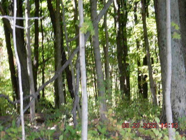 0 Feasel Road - Photo 1