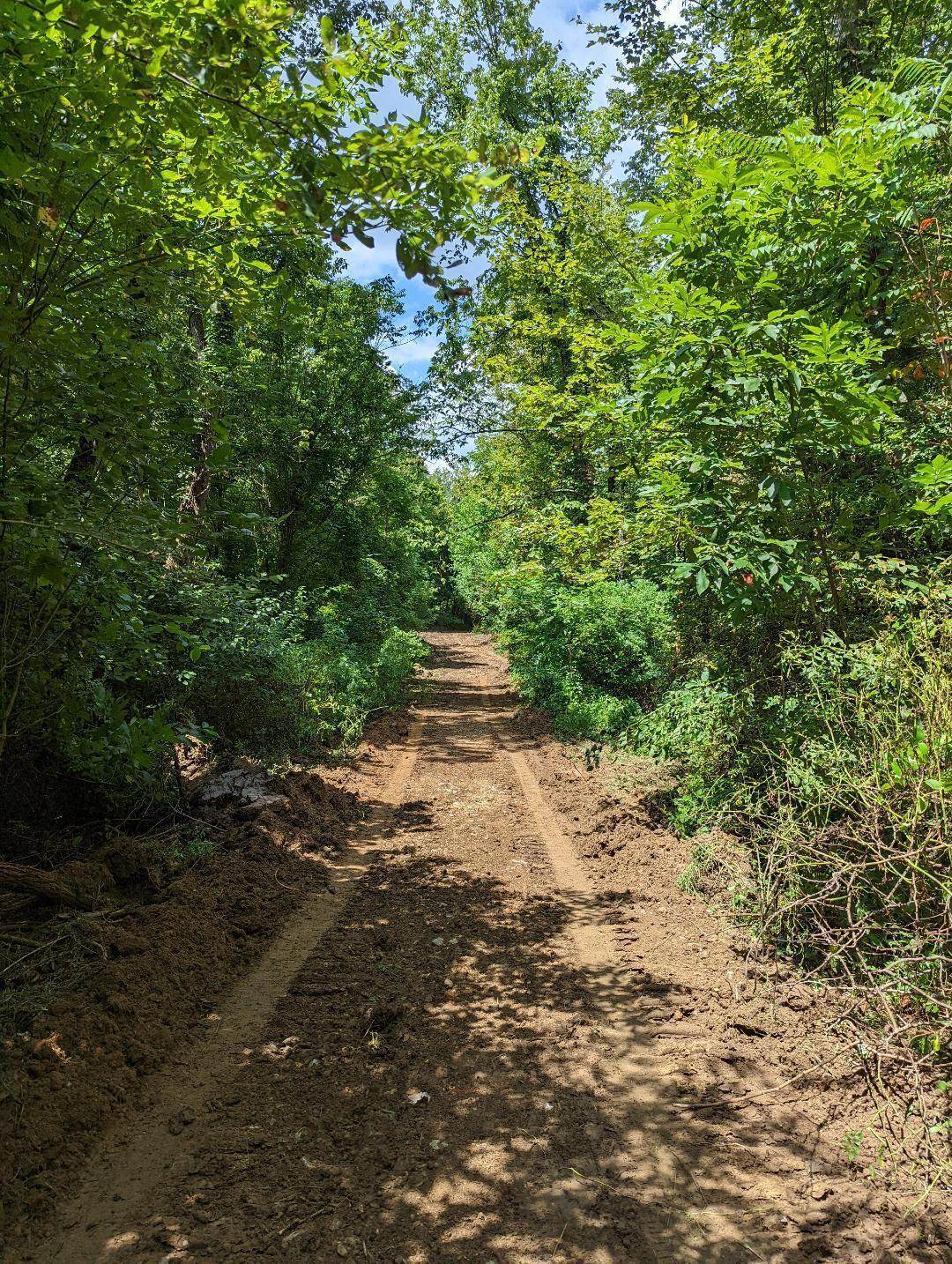 0 Miller Road - Photo 1