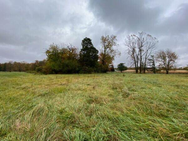 7326 State Route 19 - Photo 1