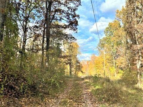 26401 Mash Hill Road - Photo 1