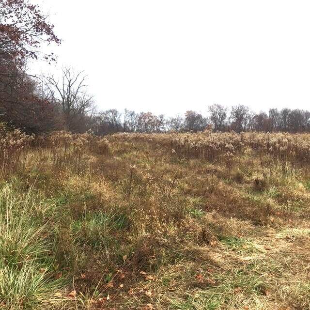 0 Ward Road - Photo 1