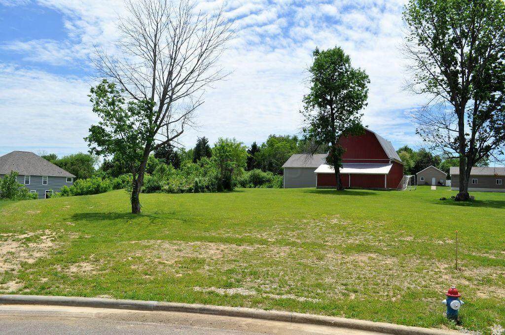 2016 Amber Wood Place - Photo 1