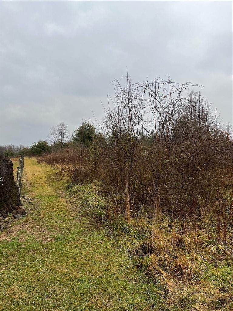 0 Lutz Lane - Photo 1