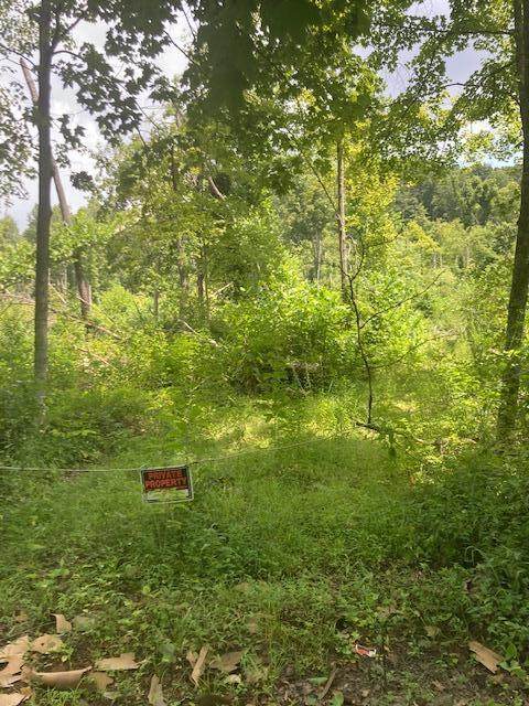 0 Fork Road - Photo 1