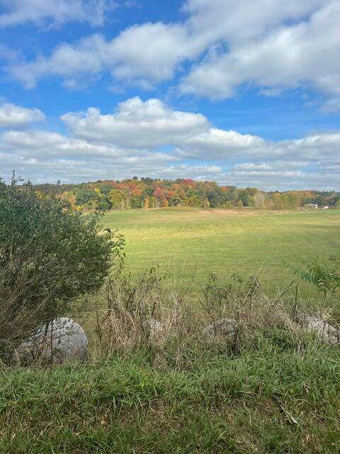 1698-Tract C Seven Hills Road - Photo 1