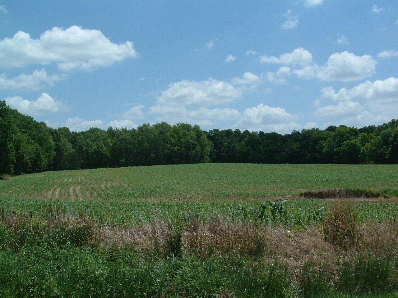 0 Clover Valley Road - Photo 1