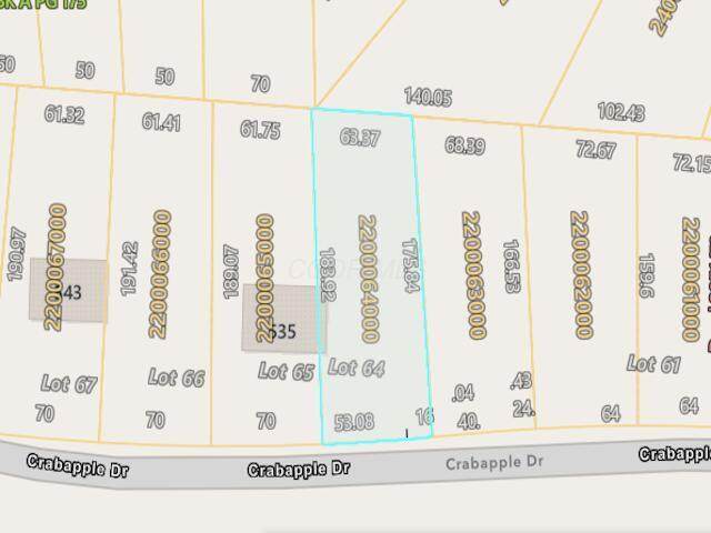 531 Crabapple Drive - Photo 1