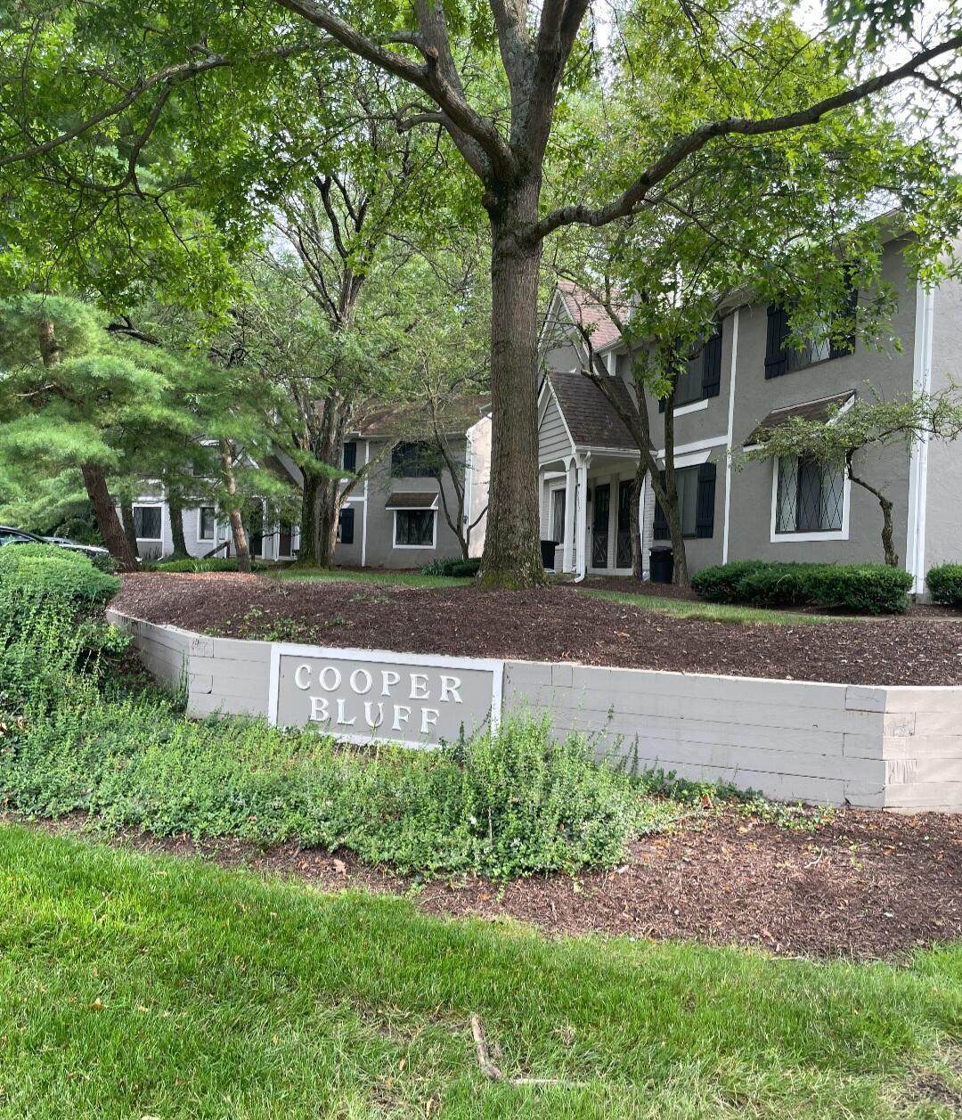 3001 Cooper Bluff Drive - Photo 1