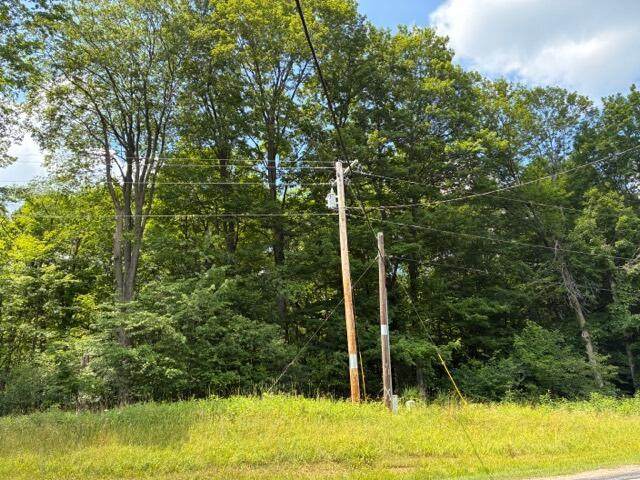 7326-Unit 5, Lots 1- State Route 19 - Photo 1