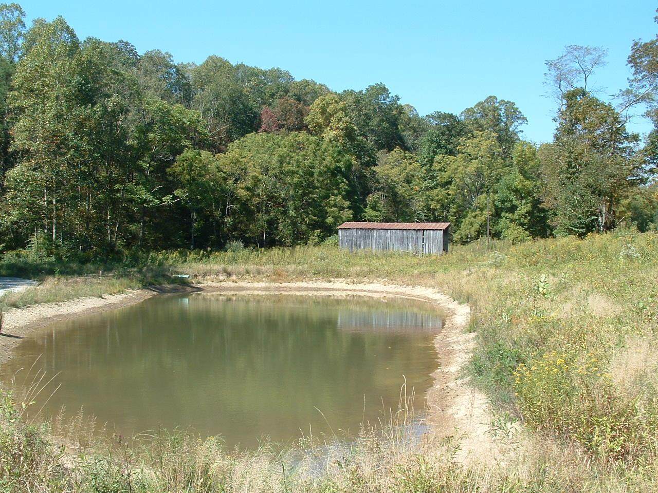 29841 Ilesboro Road - Photo 1