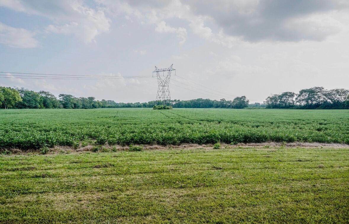 1800 Lynnbrook Court - Photo 1