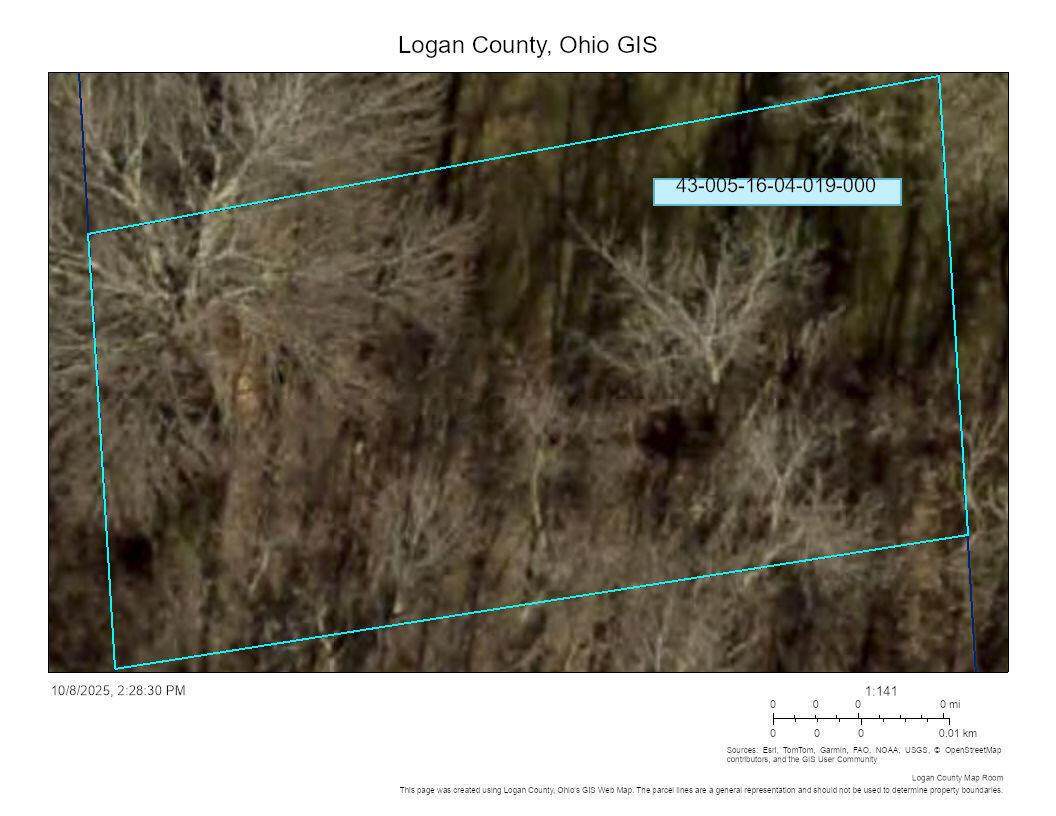 019 Linden Street - Photo 1