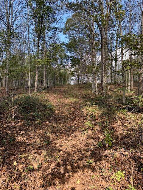 0 Red Rock Road - Photo 1