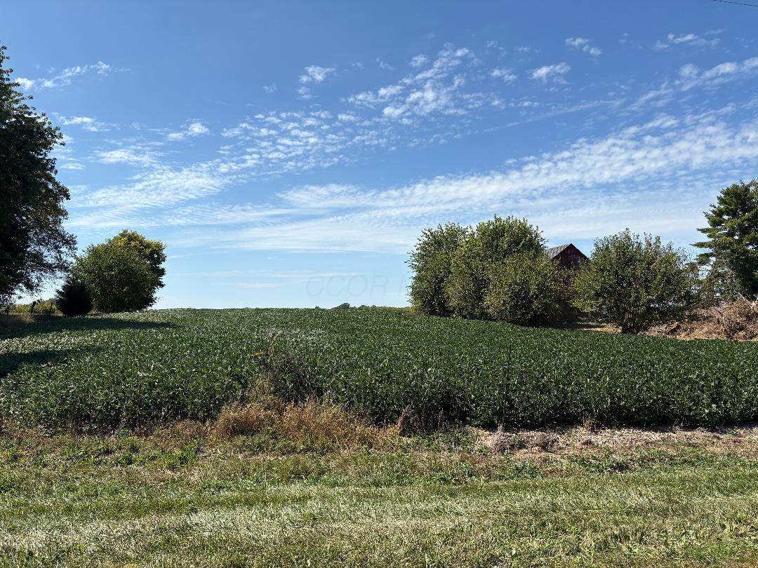 33883 Winnemac Road - Photo 1