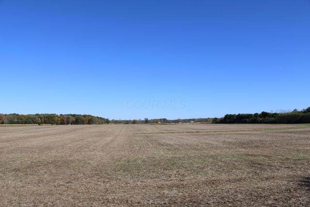 0 Panhandle Road - Photo 1