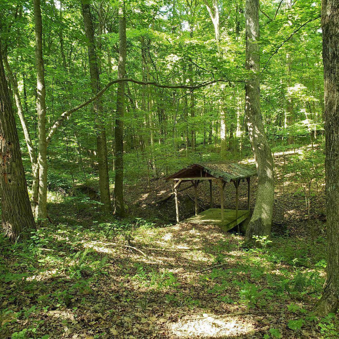 0 Mulberry Road - Photo 1