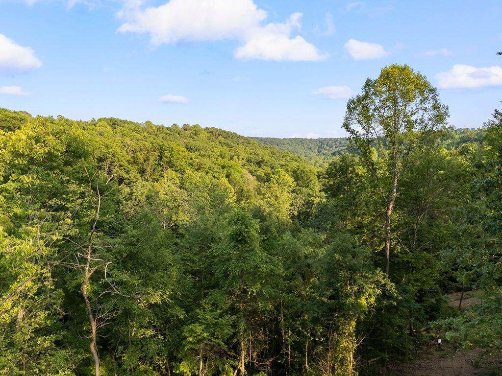 0-Lot D Culp Road - Photo 1