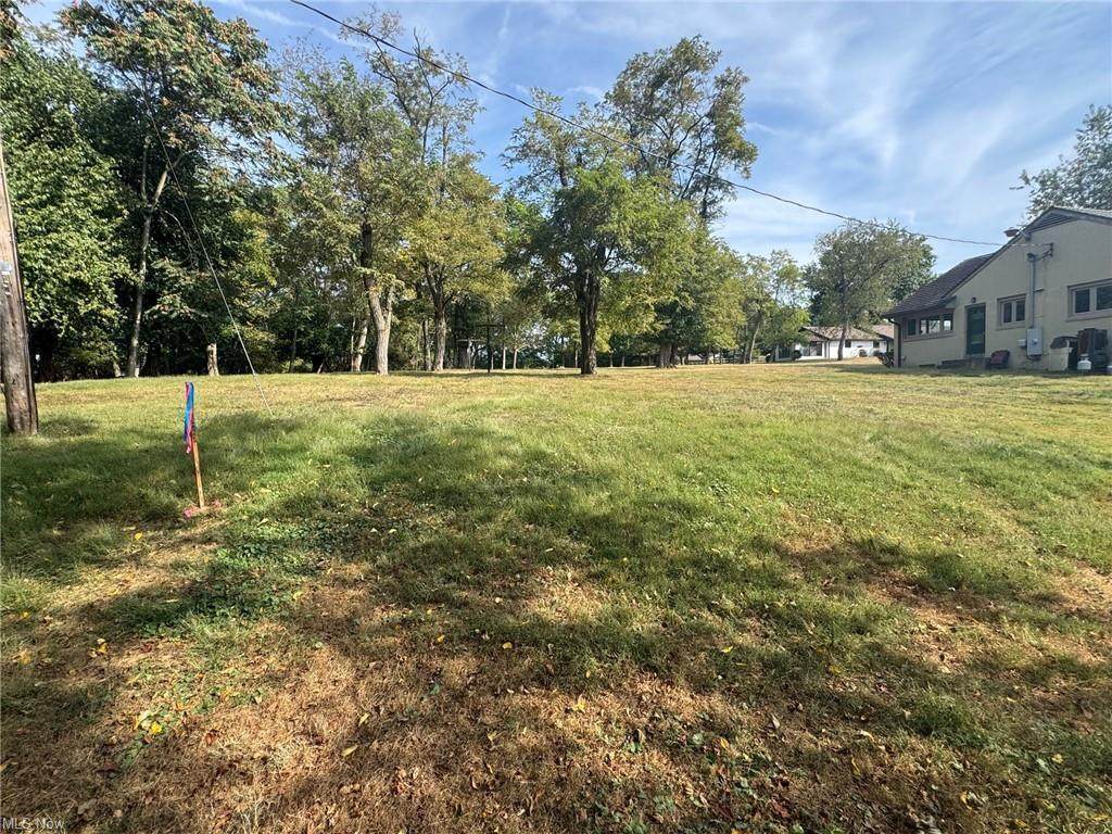 0 Ray- Lot B Drive - Photo 1