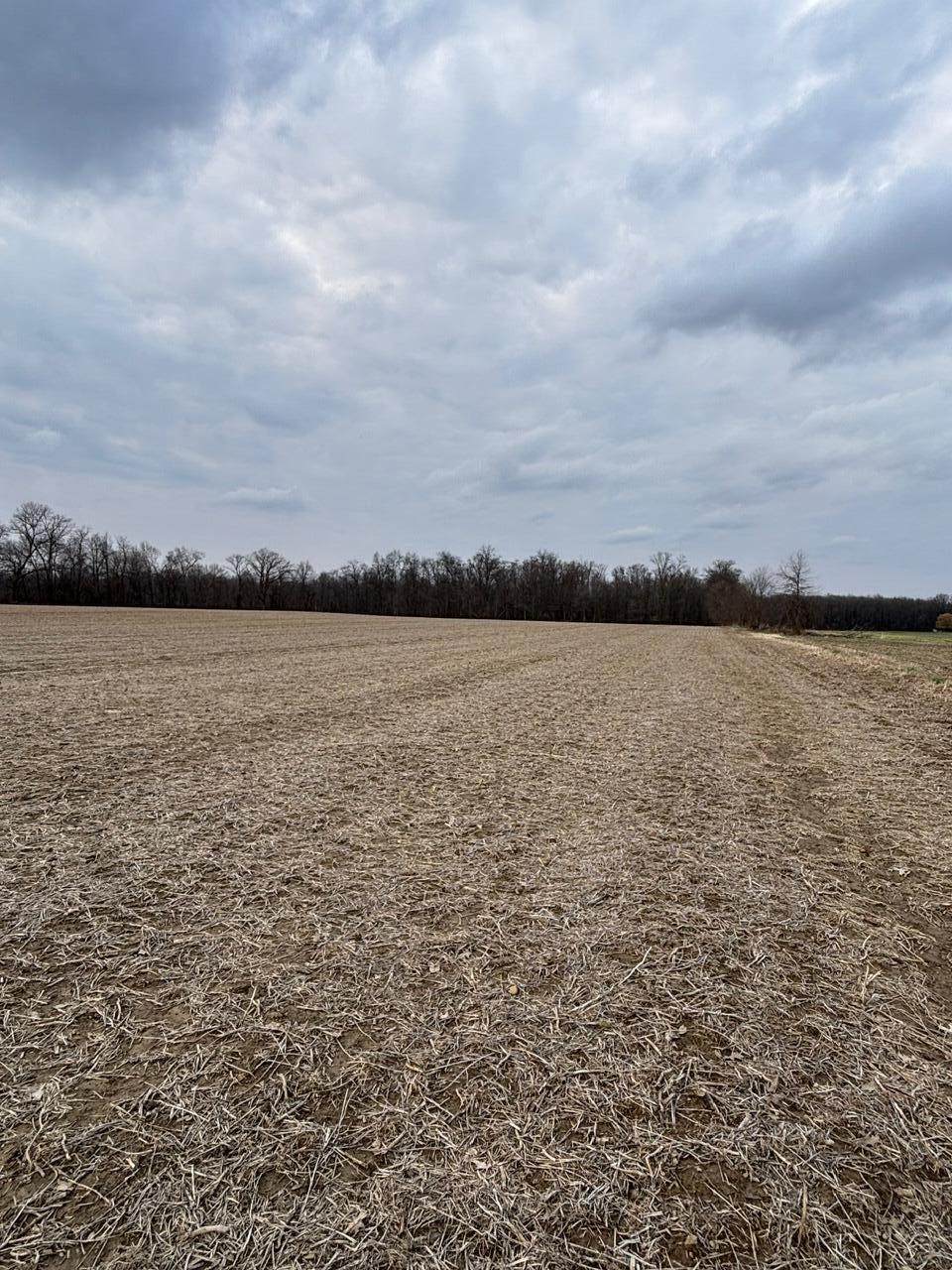 0 Longshore - Photo 1