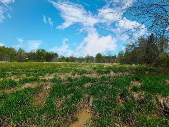 https://bt-photos.global.ssl.fastly.net/columbus/orig_boomver_1_226012605-2.jpg