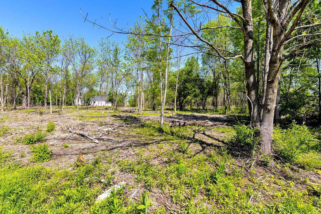 0 Fancher Road - Photo 1