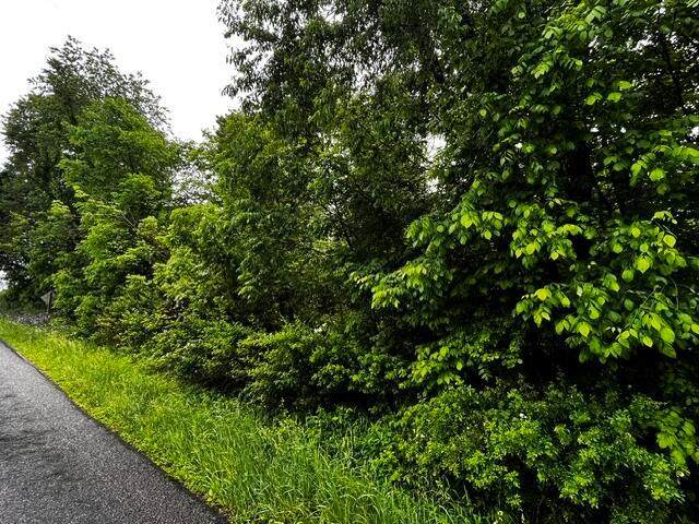 0 Lower Fredericktown Amity Road - Photo 1