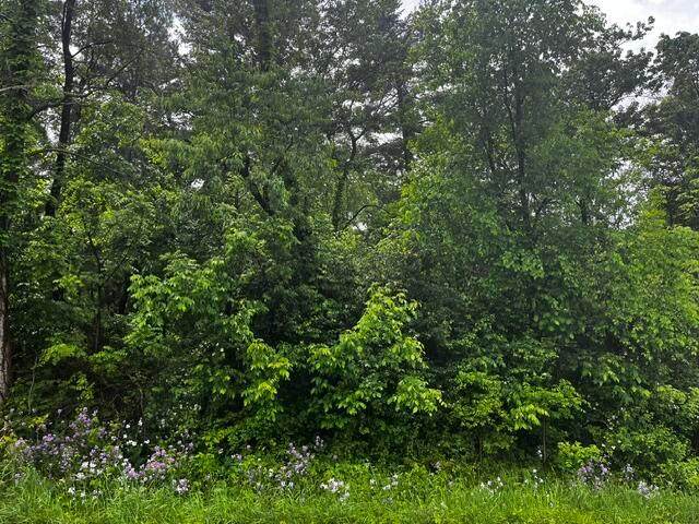 https://bt-photos.global.ssl.fastly.net/columbus/orig_boomver_1_226018908-2.jpg