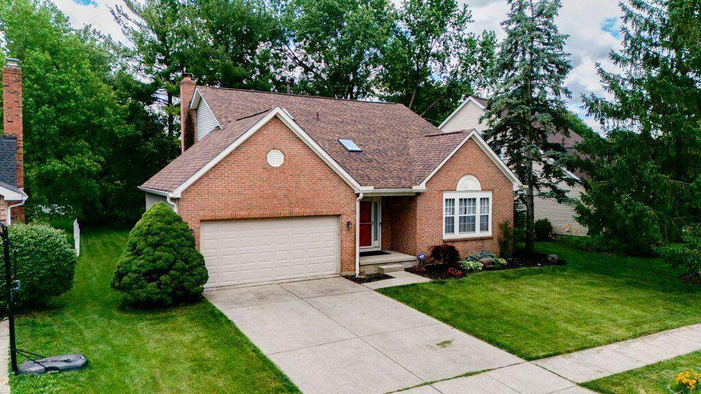 6844 Spruce Pine Drive - Photo 1