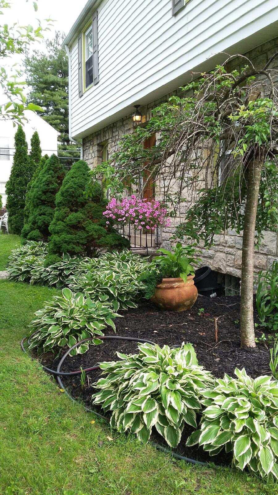 1885 Greenway Avenue - Photo 1