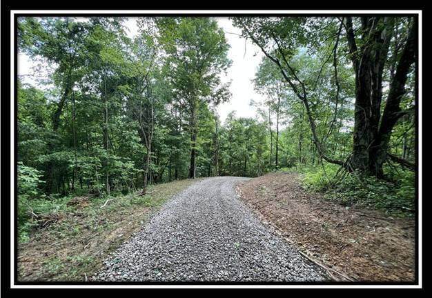 35487 Buck Run Road - Photo 1
