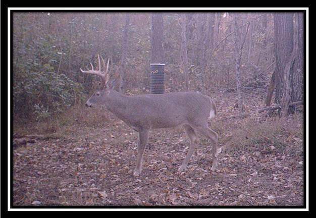 0 Possum Trot Road Road - Photo 1