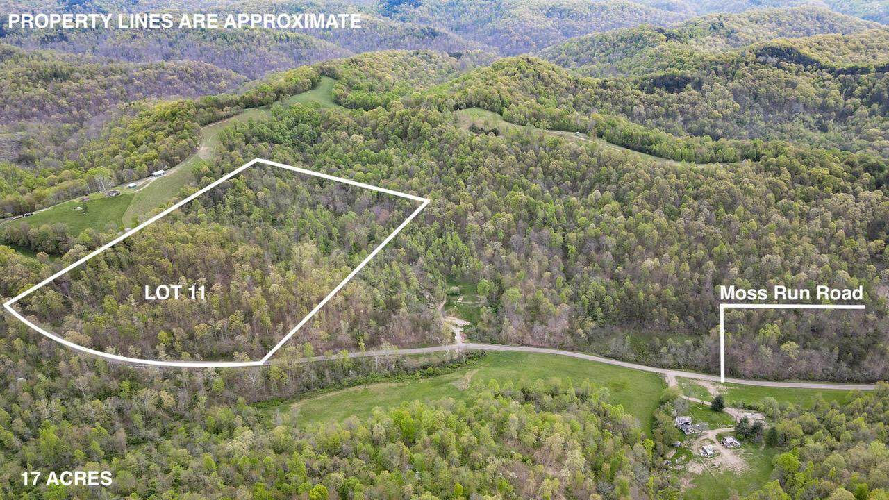 0 Moss Run Road - Photo 1