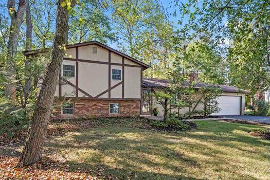 1205 Sunny Hill Drive - Photo 1