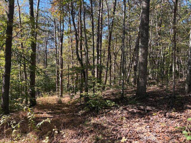 9847 Stage Road - Photo 1