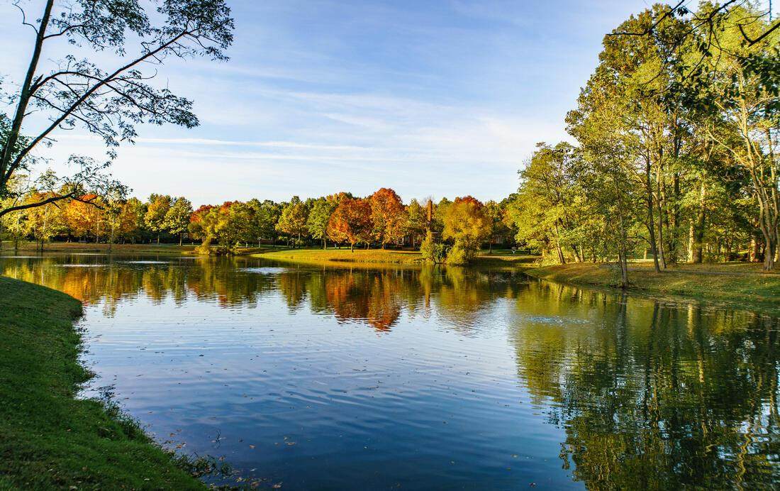 https://bt-photos.global.ssl.fastly.net/columbus/orig_boomver_1_226019202-2.jpg