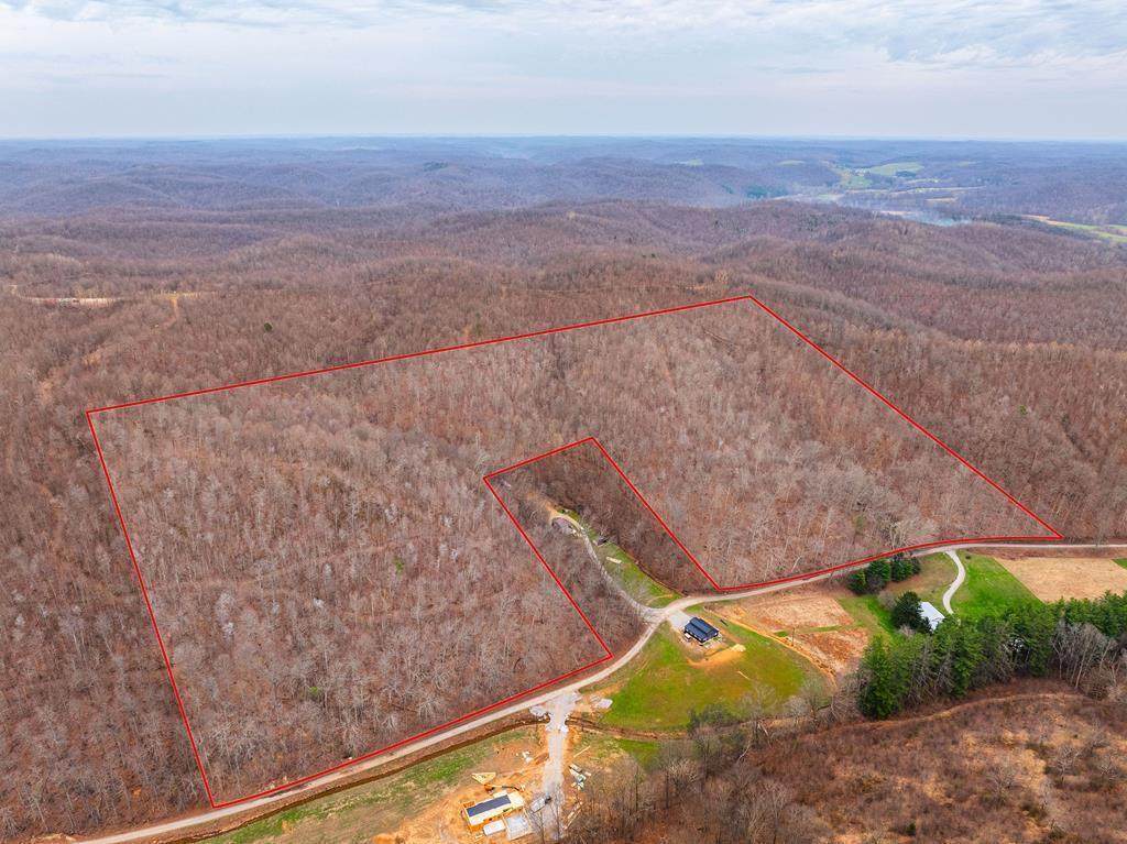 31382 Stevens Branch Road - Photo 1