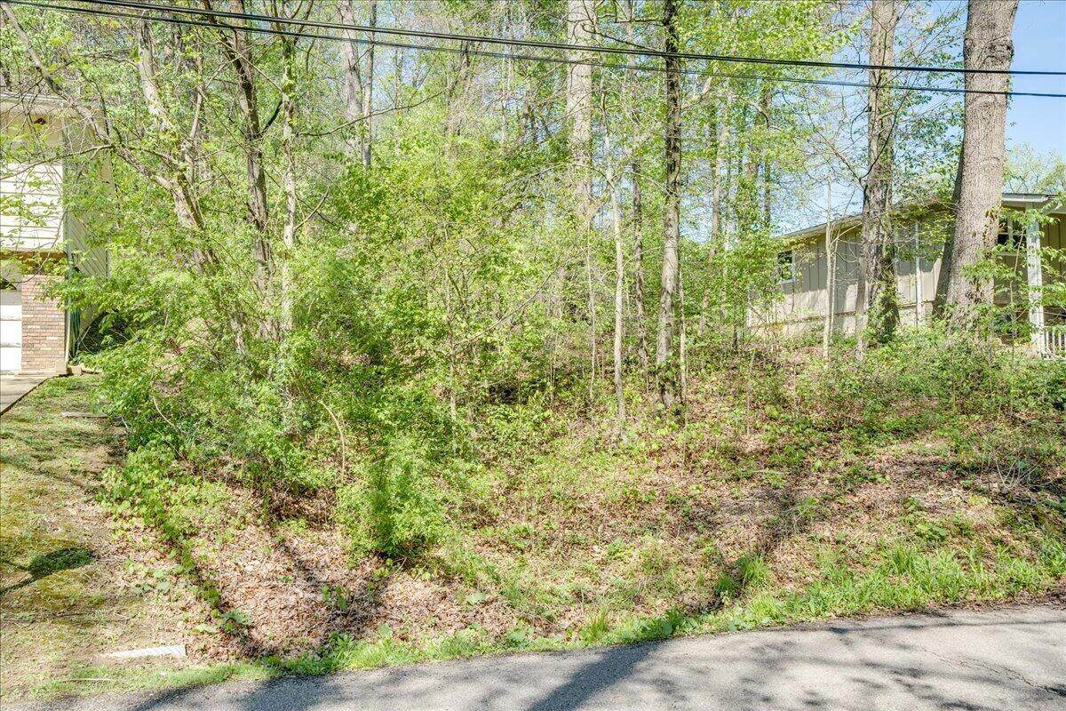 593 Ross Road - Photo 1