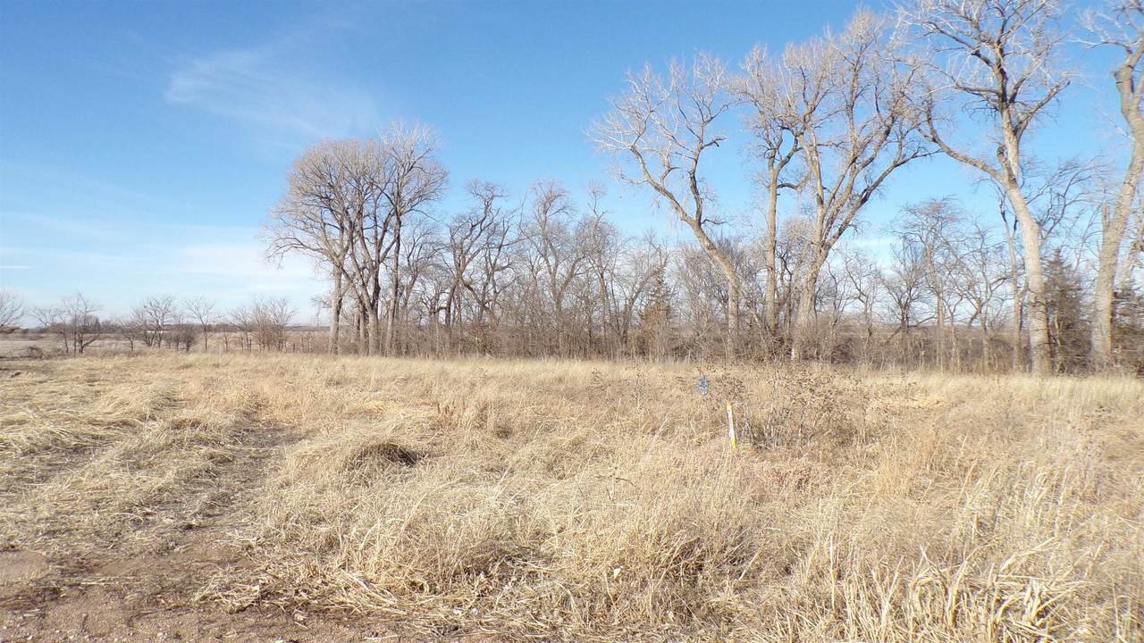 8297 Elizabeth Plaza - Photo 1