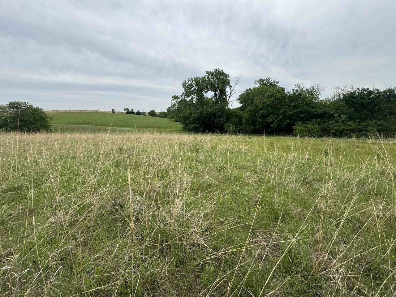 2925 County Road J - Photo 1