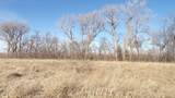 8297 Elizabeth Plaza - Photo 1