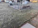 4515 30th Street - Photo 19