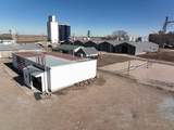 170 Tilden Street - Photo 25