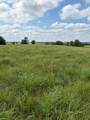 34 16 2 Savannah - Photo 2
