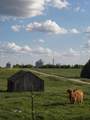 13233 V Road - Photo 10