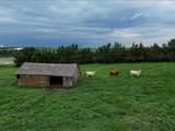13233 V Road - Photo 8
